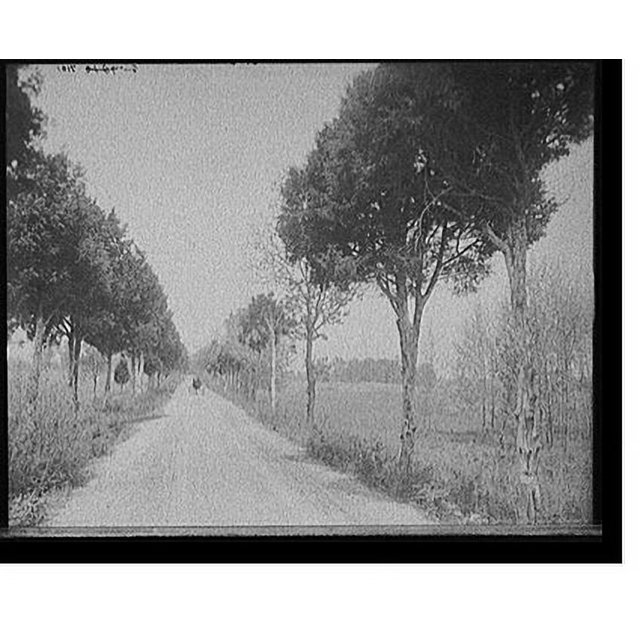 Historic Print, [Alexander Bridge Road, Chickamauga, Ga.] 2, 16" x 20