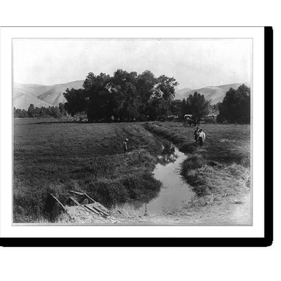 Historic Print, Alfalfa field & irrigation ditch, Rio Bravo Ranch, 16" x 20"