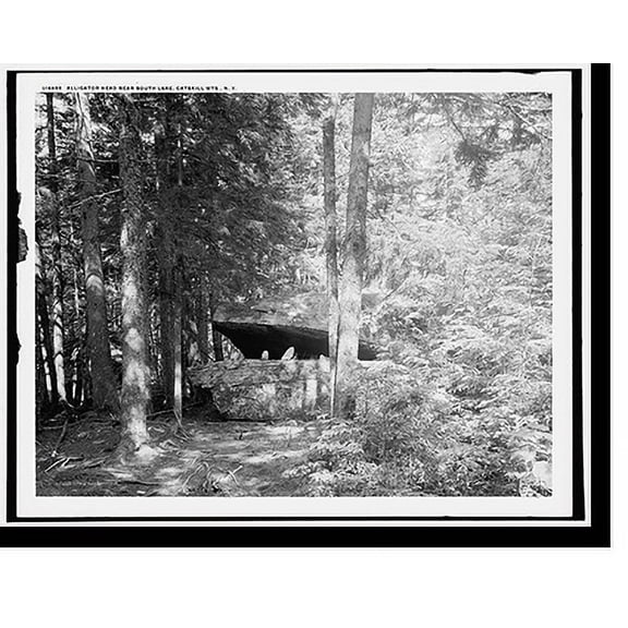 Historic Print, Alligator Head near South Lake, Catskill Mts., N.Y., 18" x 24"