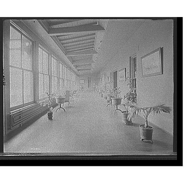 Historic Print, [Alma Sanitarium, part of the sun parlor, Alma, Mich
