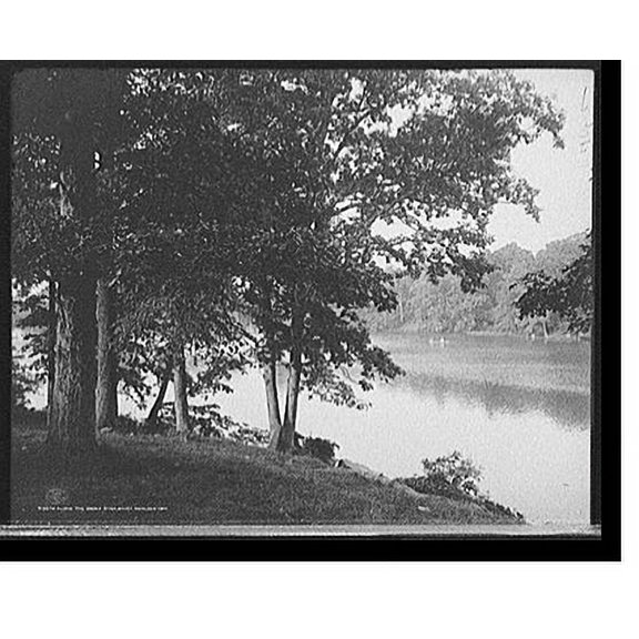 Historic Print, Along the Bronx River, Bronx Park, New York, 18" x 24"