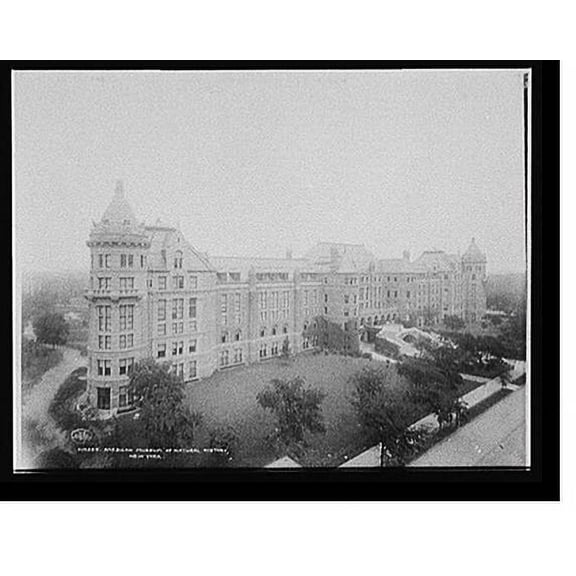 Historic Print, American Museum of Natural History, New York, 16" x 20"