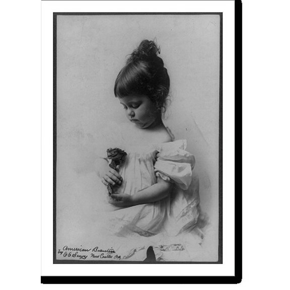 Historic Print, American beauties, 16" x 20"