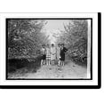 Historic Print, Apple Blossoms at Winchester, Va., [5/3/26], 16" x 20