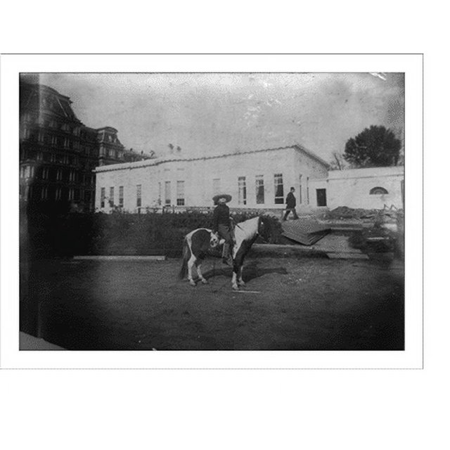 Historic Print, Archie Roosevelt, fulllength portrait, on his calico