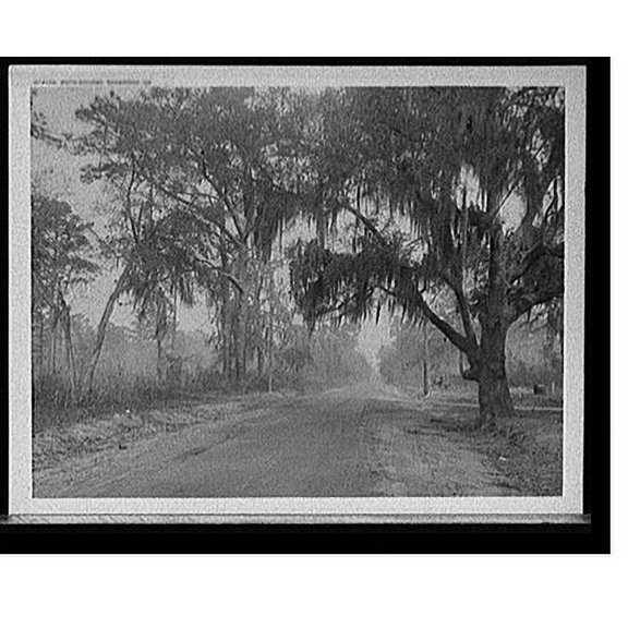 Historic Print, Auto course, Savannah, Ga., 18" x 24"