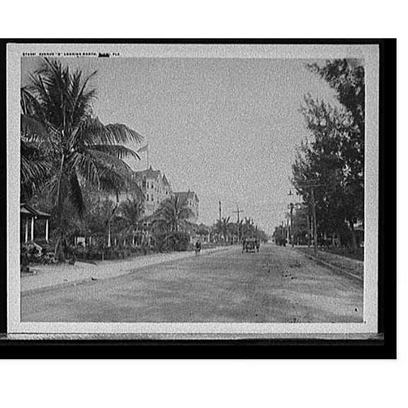 Historic Print, Avenue B looking north, Miami, Fla., 16" x 20"