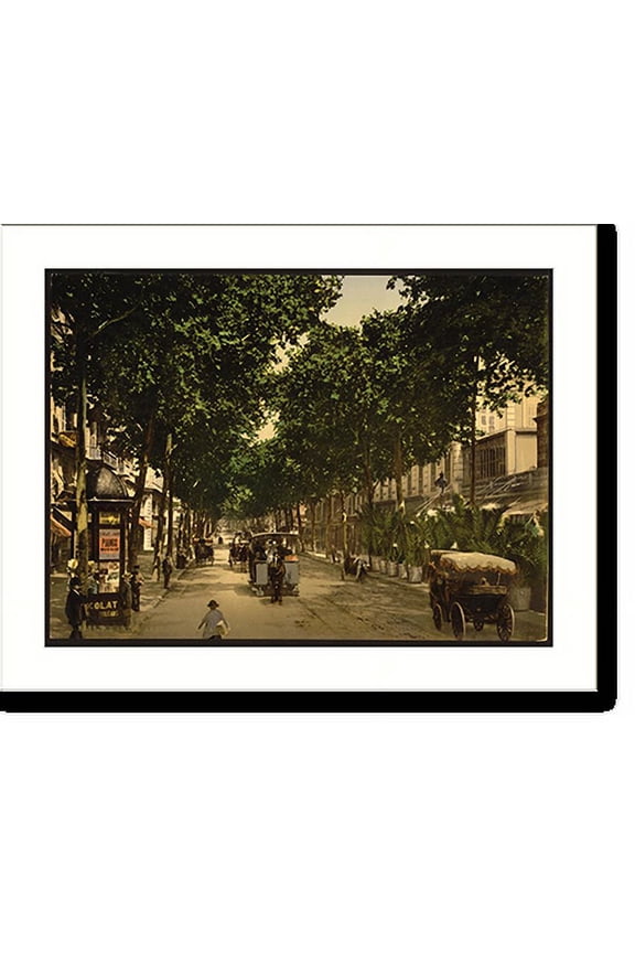 Historic Print, Avenue de la Gare Nice Riviera, 16" x 20"