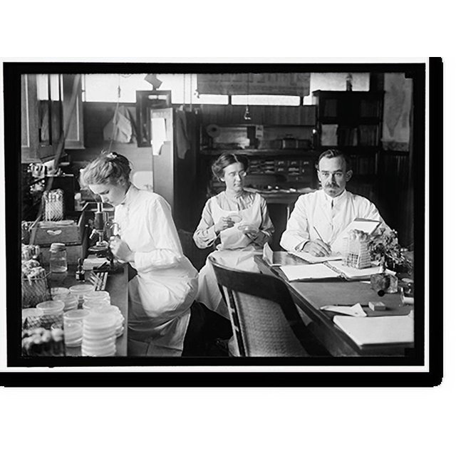 Historic Print, BACTERIOLOGY. DR. STILES 2, 16" x 20