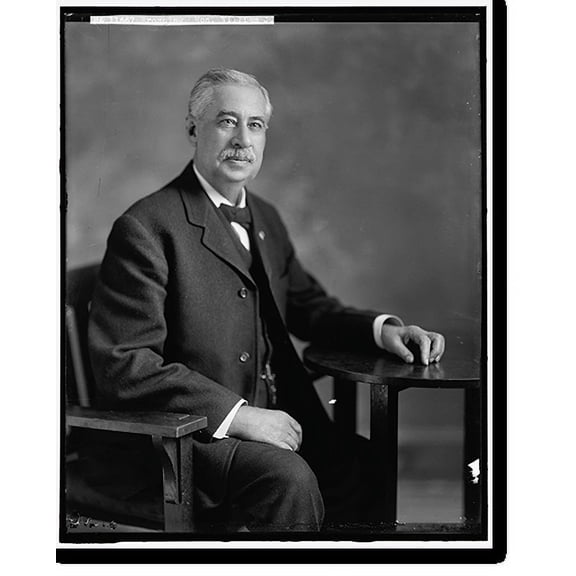 Historic Print, BROWNING, WILLIAM J. HONORABLE, 16" x 20"