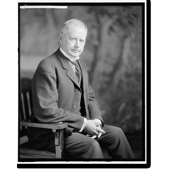 Historic Print, BURLESON, ALBERT S. HONORABLE - 2, 16" x 20"