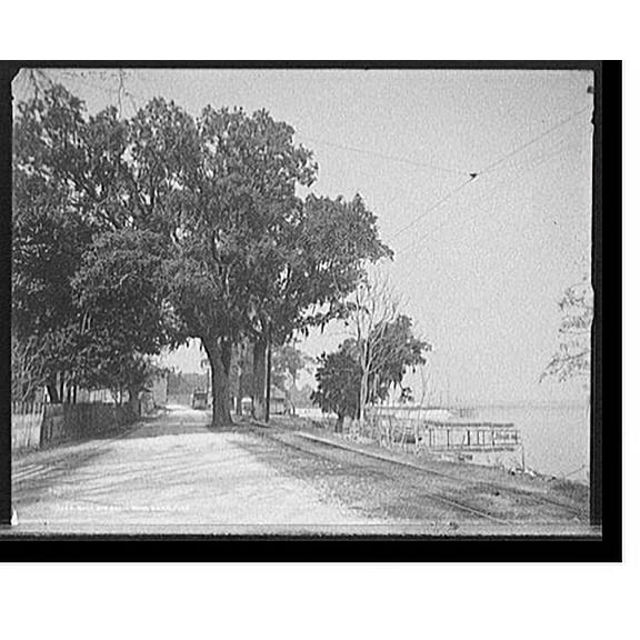 Historic Print, Back Bay Shell Road, Biloxi, Miss., 18" x 24"