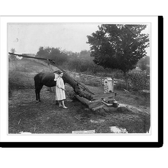 Historic Print, Barnyard scene, 16" x 20"