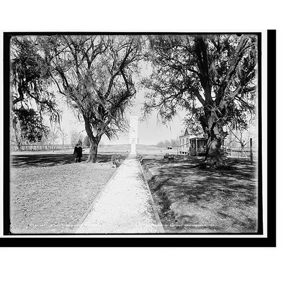 Historic Print, Battle monument, Chalmette, 16" x 20"