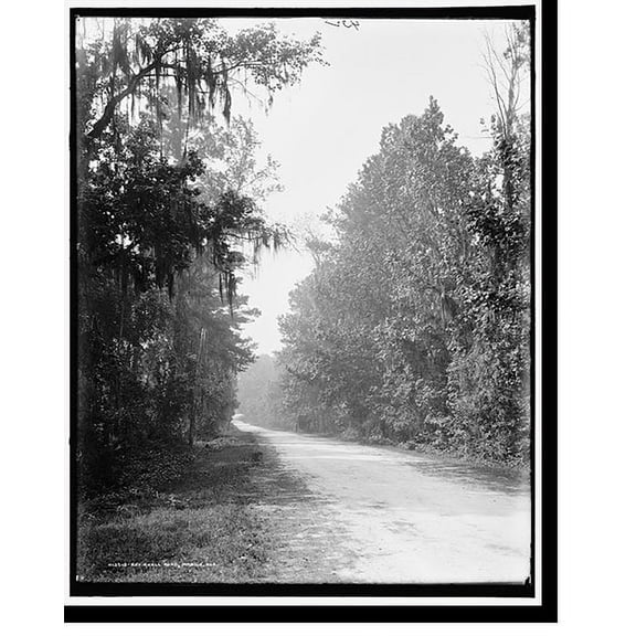 Historic Print, Bay Shell Road, Mobile, Ala. - 2, 16" x 20"