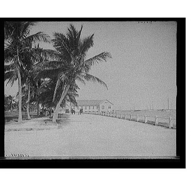 Historic Print, [Bay Shore Road and the fair building, Miami, Fla.], 16