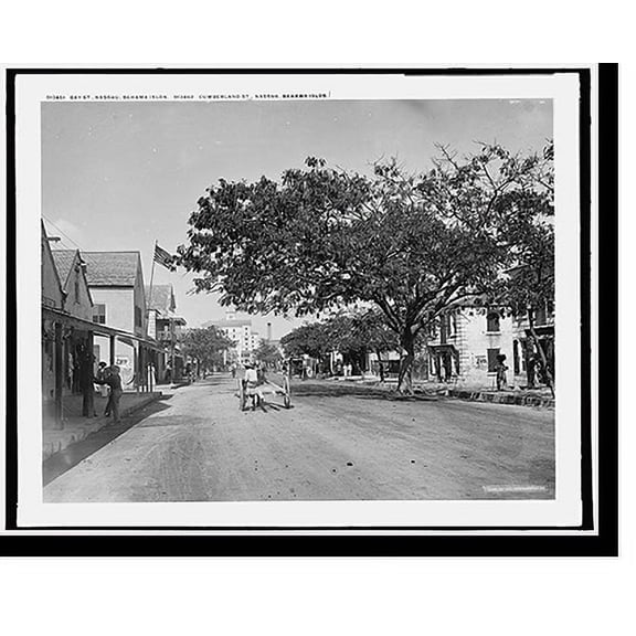 Historic Print, Bay St., Nassau, Bahama Islds., 16" x 20"
