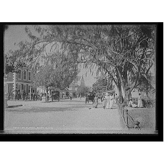 Historic Print, Bay St. [Street], Nassau, Bahama Islands, 18" x 24"
