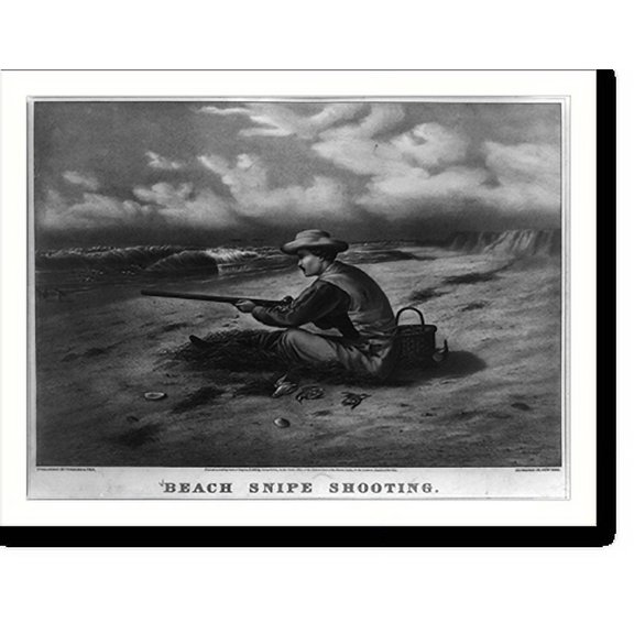 Historic Print, Beach snipe shooting, 18" x 24"