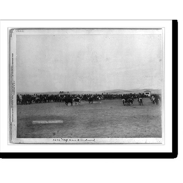 Historic Print, Beef issue to Indians. Taken at Pine Ridge, Jan. 18 '91