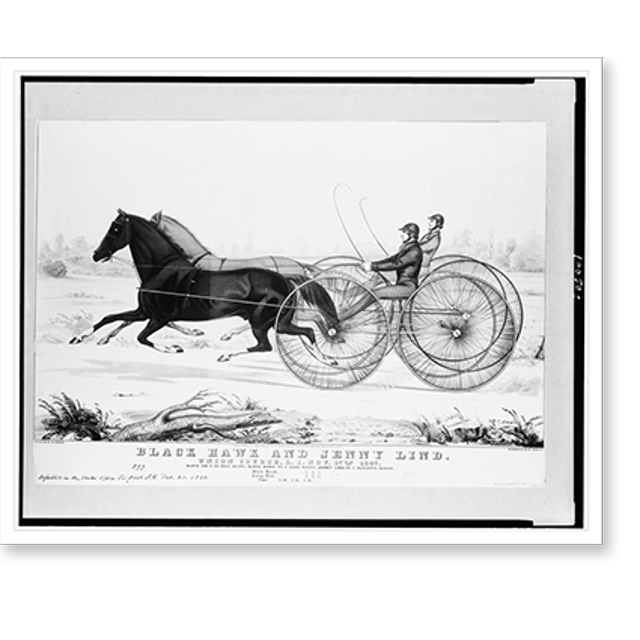 Historic Print, Black Hawk and Jenny Lind. Union course, L.I. Nov. 17th