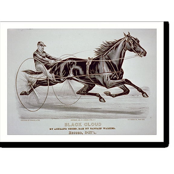Historic Print, Black cloud by Ashland Chief, dam by Captain Walker - record, 2:171/4, 16" x 20"