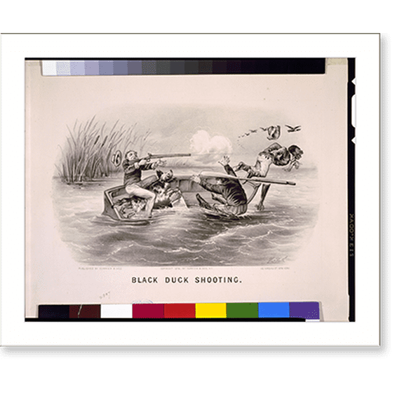 Historic Print, Black duck shooting.Thos. Worth. - 3, 16" x 20"