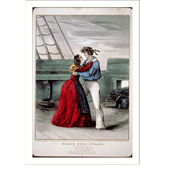 Historic Print, Black eyed Susan - 2, 16" x 20"