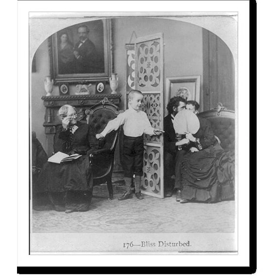 Historic Print, Bliss disturbed, 16" x 20"