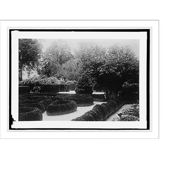 Historic Print, Box Hedges, Mt. Vernon, 18" x 24"