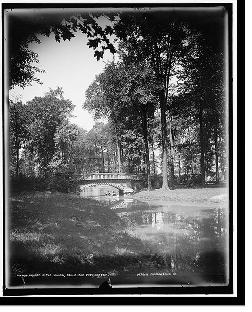 Historic Print, Bridge in the woods, Belle Isle Park, Detroit, 16" x 20