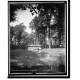 Historic Print, Bridge in the woods, Belle Isle Park, Detroit, 16" x 20