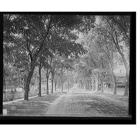 Historic Print, Brinkerhoff St. (west from park), Plattsburgh, N.Y., 18" x 24"