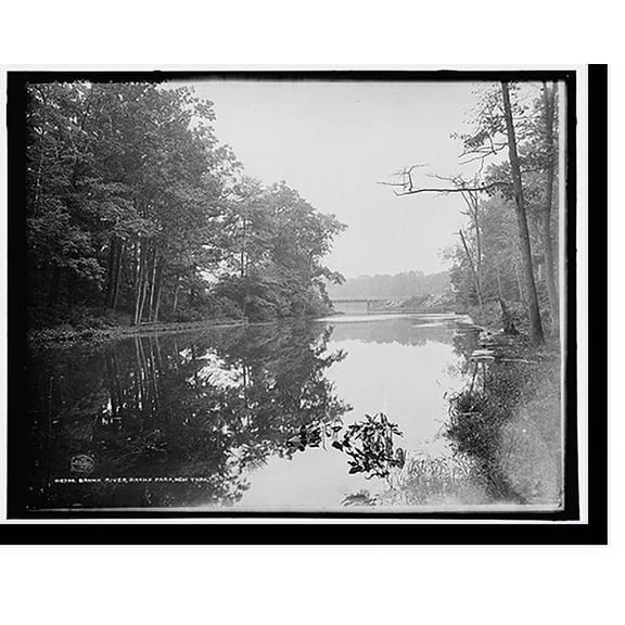 Historic Print, Bronx River, Bronx Park, New York, 16" x 20"