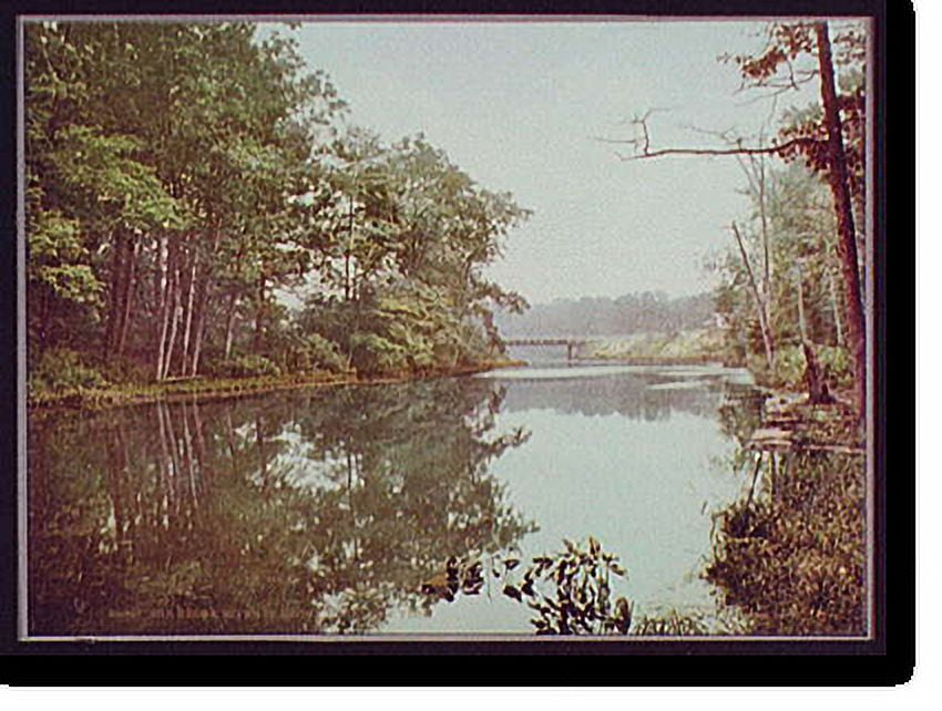 Historic Print, Bronx River in Bronx Park, New York, 16" x 20