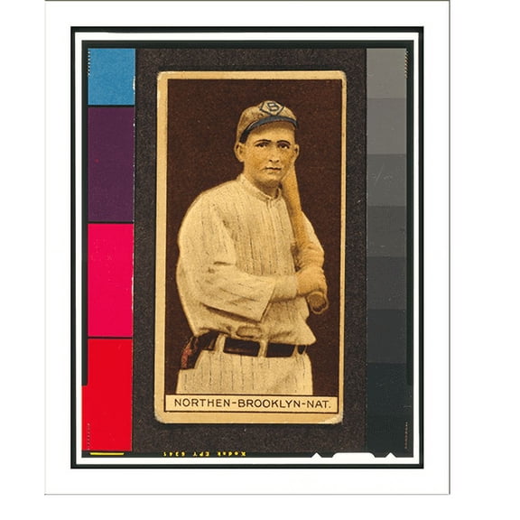 Historic Print, Brown Backgrounds (T207) - 17, 16" x 20"