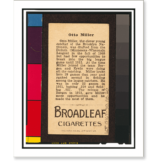 Historic Print, Brown Backgrounds (T207) - 21, 16" x 20"