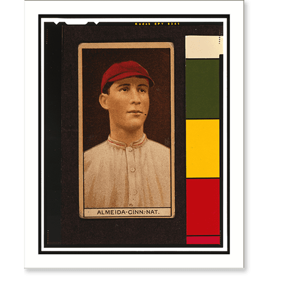 Historic Print, Brown Backgrounds (T207) - 4, 16" x 20"