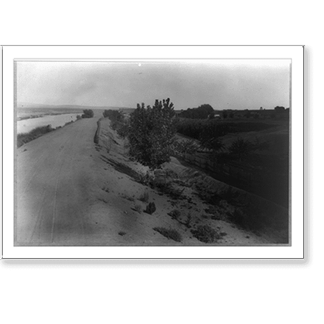 Historic Print, [Buena Vista Farm, Kern County, California], 16" x 20