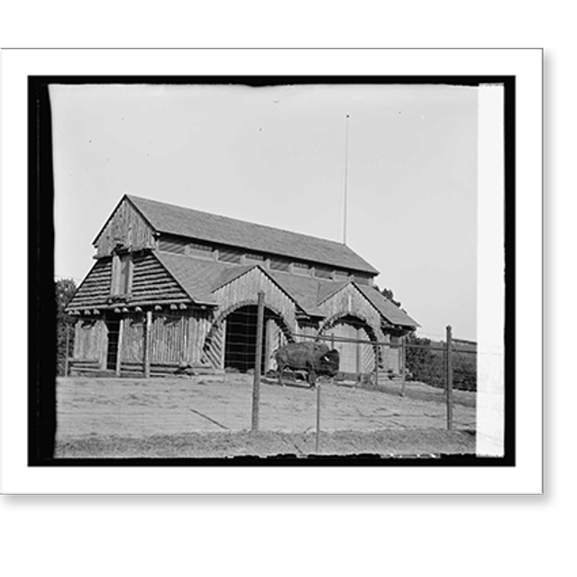 Historic Print, Buffalo House Zoo Park, 16" x 20"