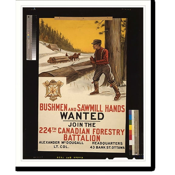 Historic Print, Bushmen and sawmill hands wanted. Join the 224th Canadian Forestry Battalion, 16" x 20"