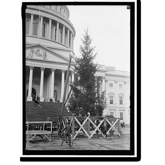 Historic Print, CHRISTMAS TREES. CHRISTMAS TREE AT CAPITOL, 18" x 24"