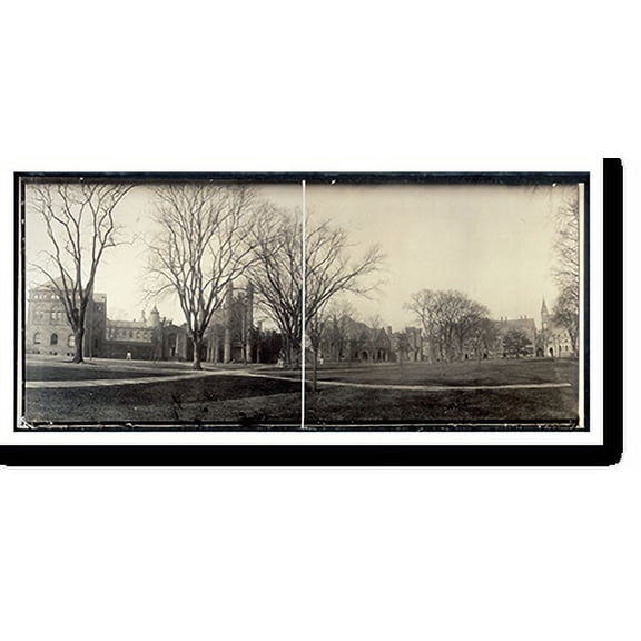 Historic Print, CT Yale Campus New Haven 1902 PHOTO, Width 7" x Length 36"