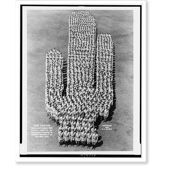Historic Print, The Cactus, regimental insignia [of the] 35th Infantry, formed by the regimental personnel in Schofield Barracks, T.H. June 25th, 1933, 18" x 24"