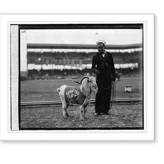 Historic Print, Caeser" Navy mascot at Scout Fleet vs. Fort Benning, Ga., 11/22/24", 18" x 24"