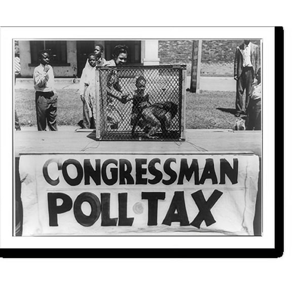 Historic Print, [Caged monkey on platform with sign reading Congressman Poll Tax" displayed by the NAACP Detroit branch during their "Parade for Victory" march]", 16" x 20"