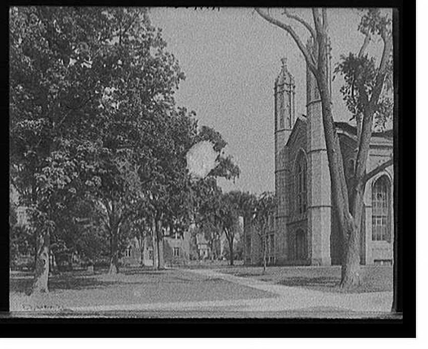 Historic Print, [Cambridge, Mass., Harvard Univ. yard & library], 16" x