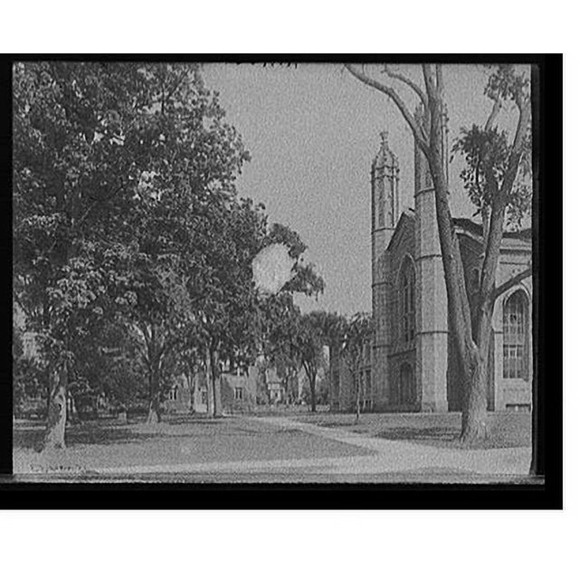 Historic Print, [Cambridge, Mass., Harvard Univ. yard & library], 16" x