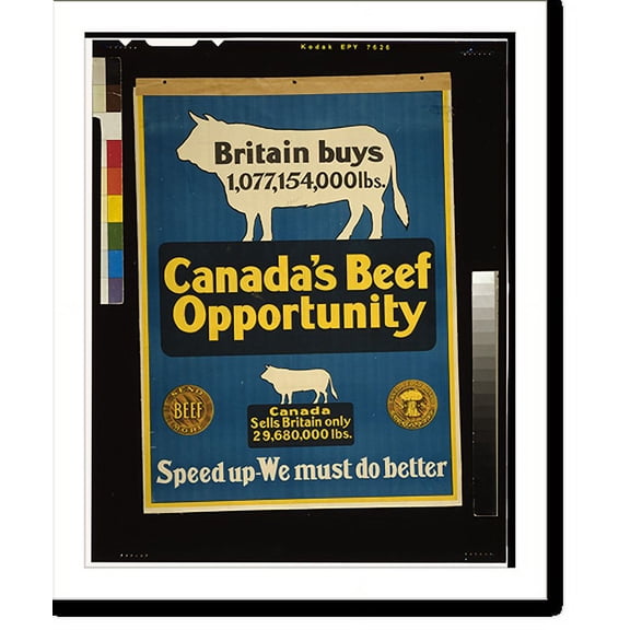 Historic Print, Canada's beef opportunity, 18" x 24"