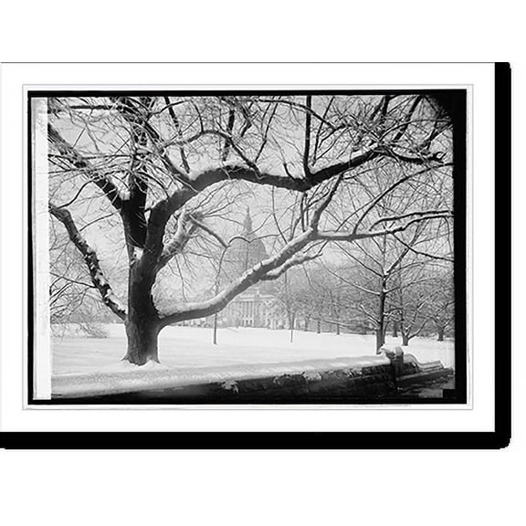 Historic Print, Capitol - 8, 18" x 24"